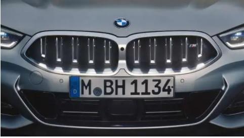 BMW 8er Cabrio - Niere BMW 8er Cabrio - Niere